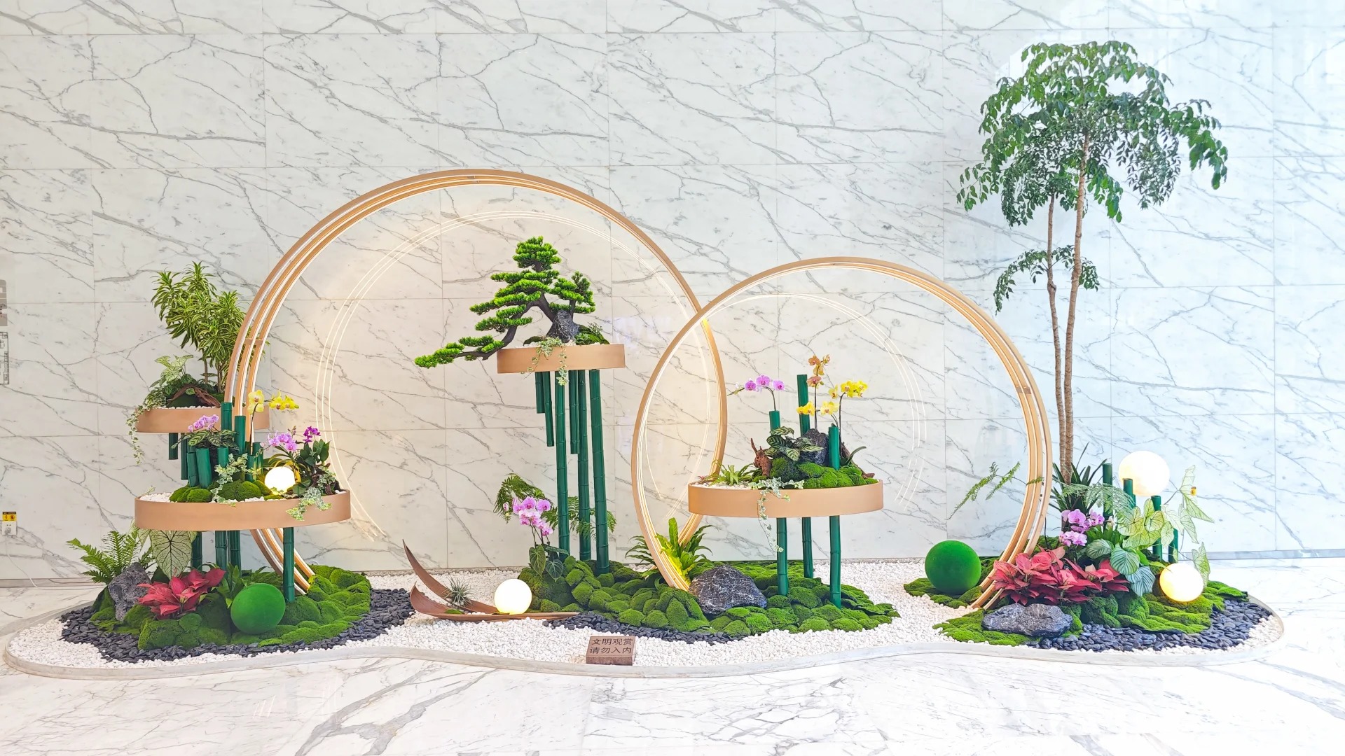 余姚盆景租摆方案，解锁空间美化新姿势！